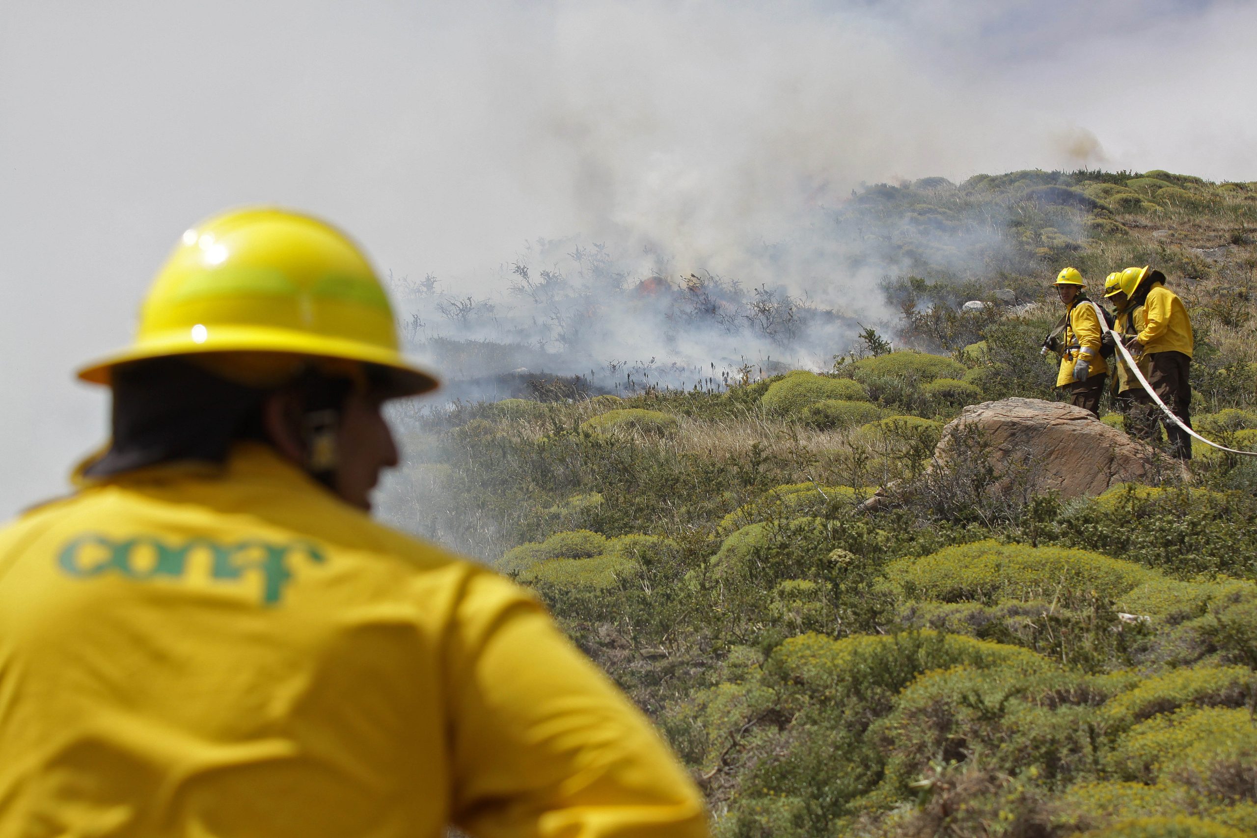 Municipalidad de Laja informa medidas preventivas para evitar incendios forestales