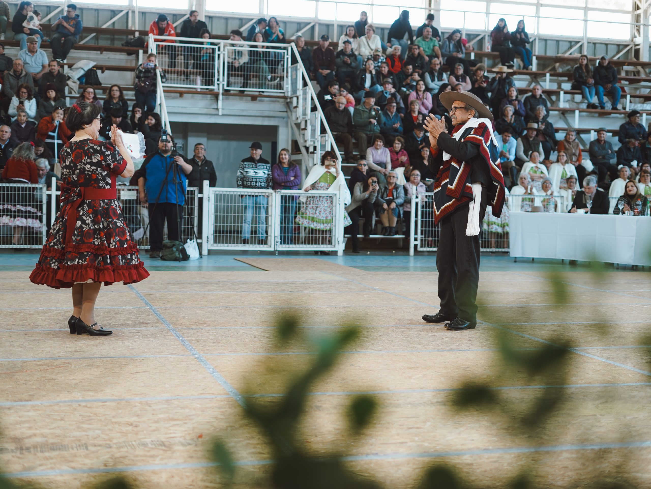 Una verdadera fiesta de la cueca vivió Laja con nuestros adultos mayores