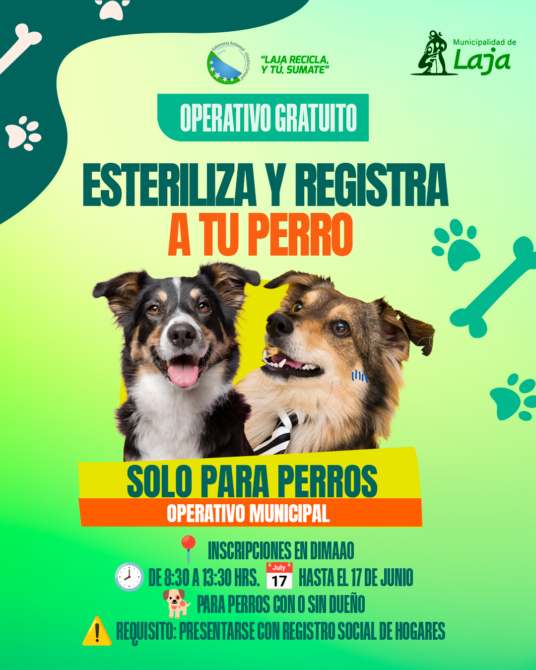 Municipio de Laja impulsa nuevo operativo gratuito de esterilización canina
