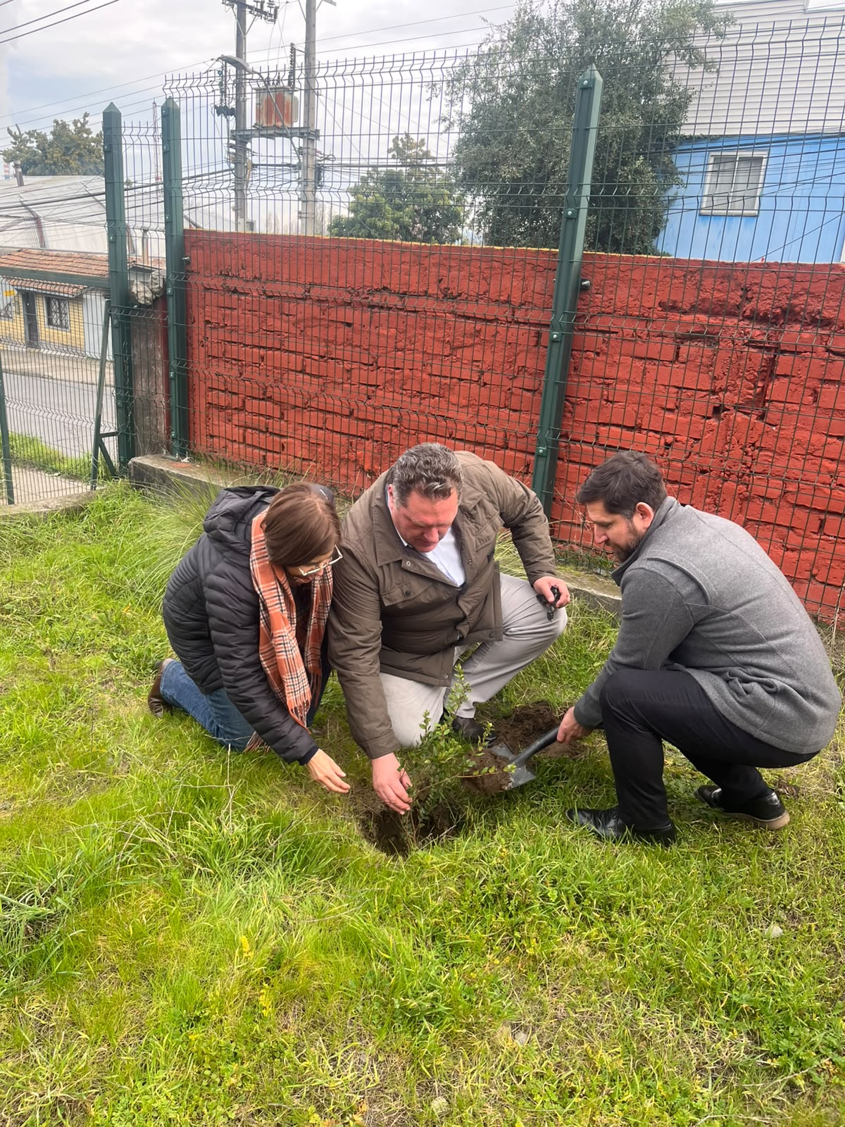 Escuela Andrés Alcázar conmemoró el Día Nacional del Árbol con plantación de especies nativas