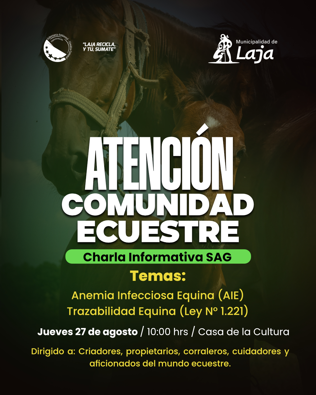 Municipalidad de Laja invita a charla informativa del SAG dirigida a la comunidad ecuestre